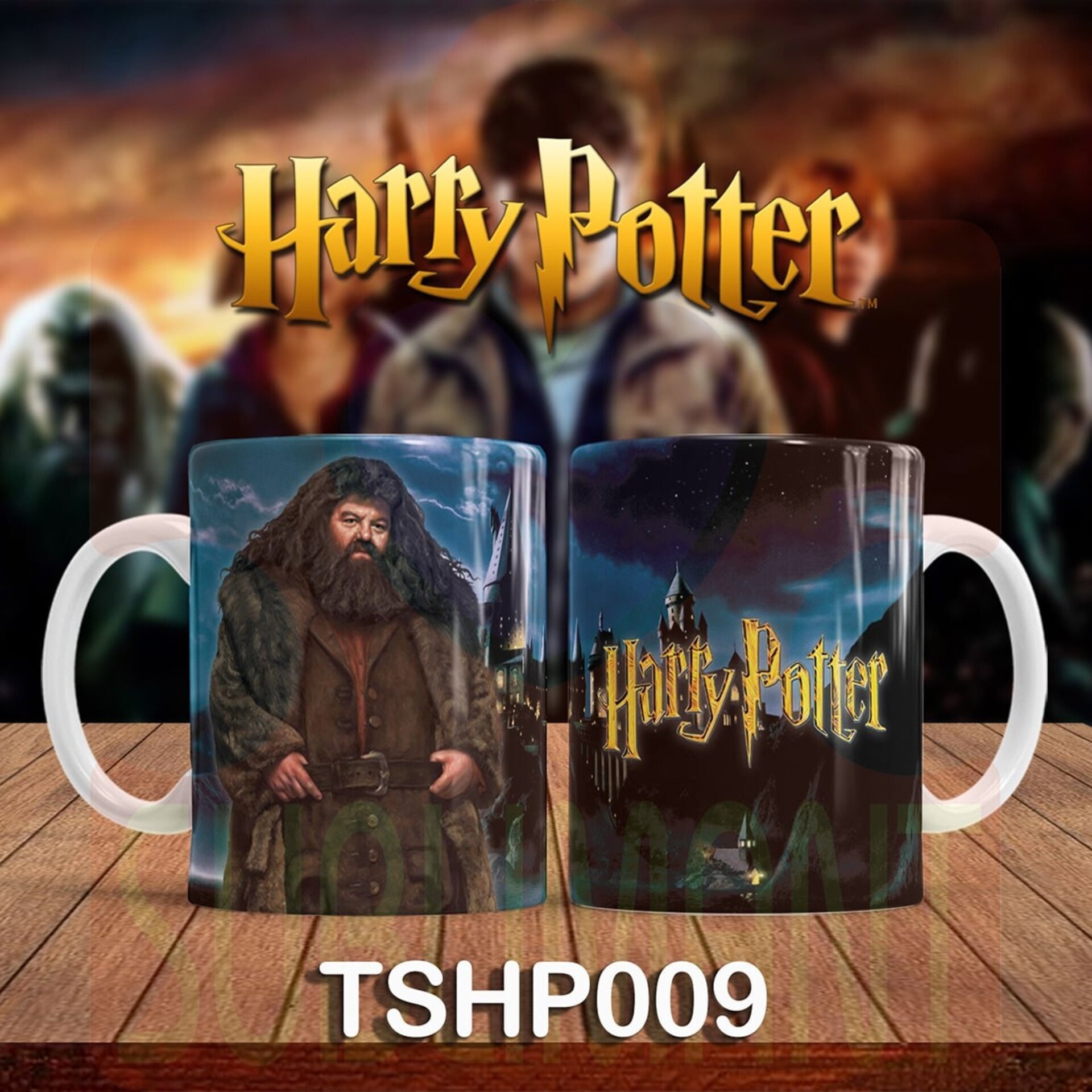 Tazas HARRY POTTER - 9