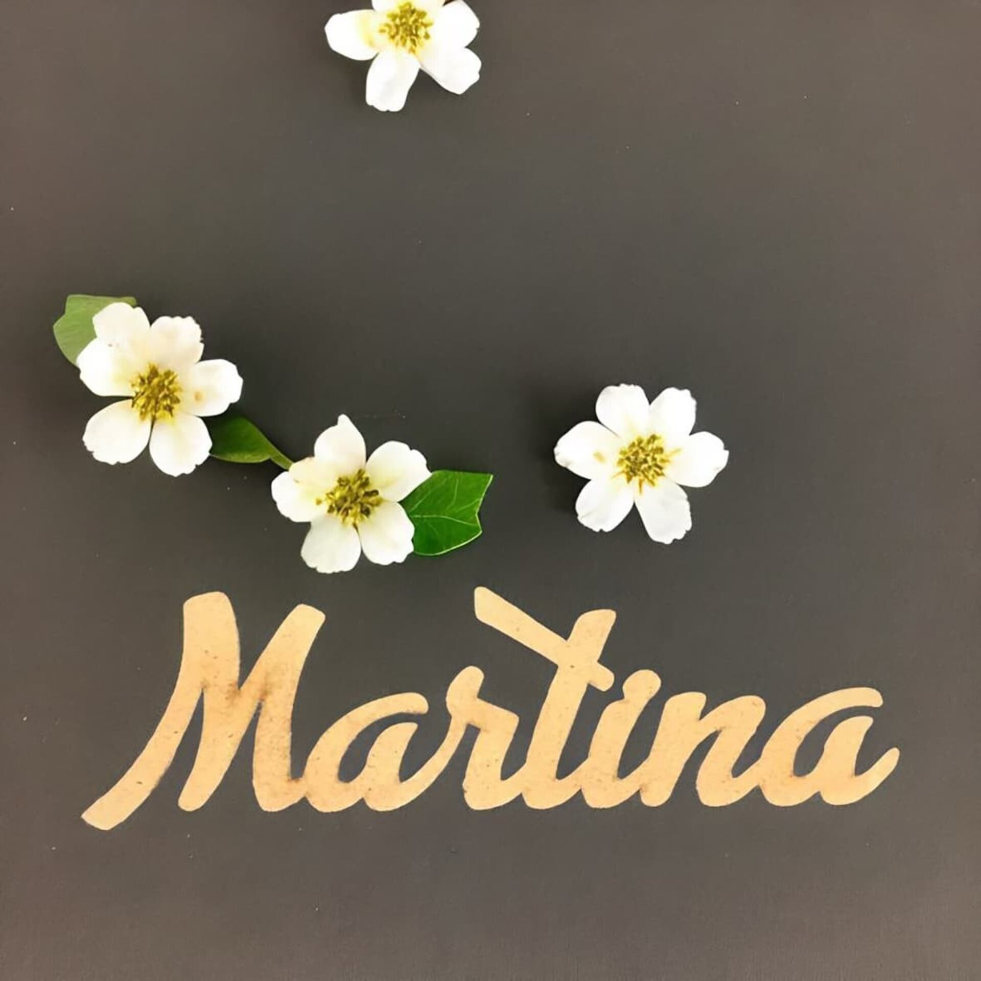 Marca sitios - 3